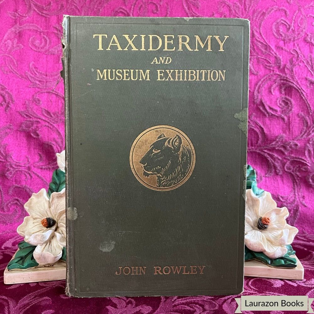 1938 Taxidermy and Museum Exhibition by John Rowley, Scarce Illustrated Book